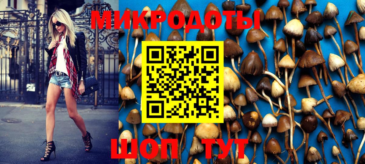 Пушкино  где найти   Вход с VPN  Галлюциногенные грибы MAGIC MUSHROOMS 
