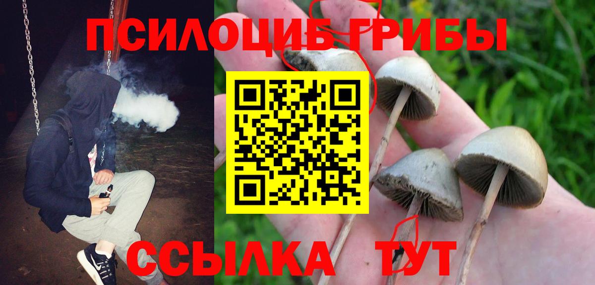 Псилоцибиновые грибы прущие грибы Пушкино